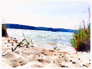 Preset Style = Bold Format = 6