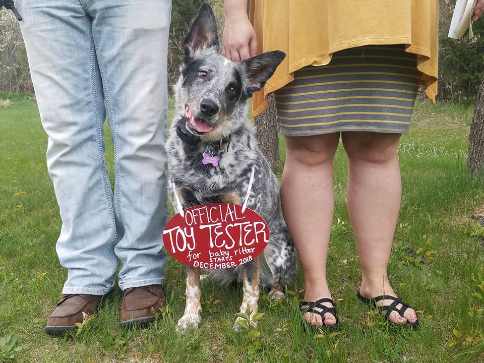 32456331_10155266425117312_230308417133084672_n